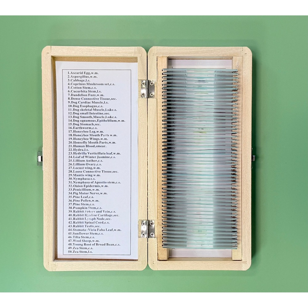 AmScope 50pc Prepared Microscope Slides Set Biological Specimen Wood Case PS50W